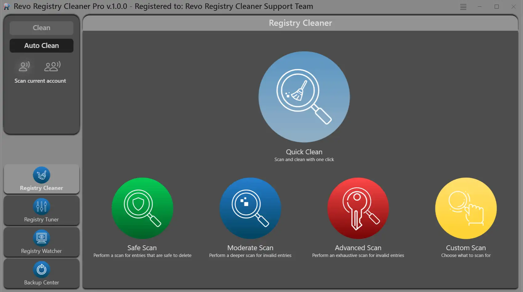 Registry Cleaner main layout with user-focused controls